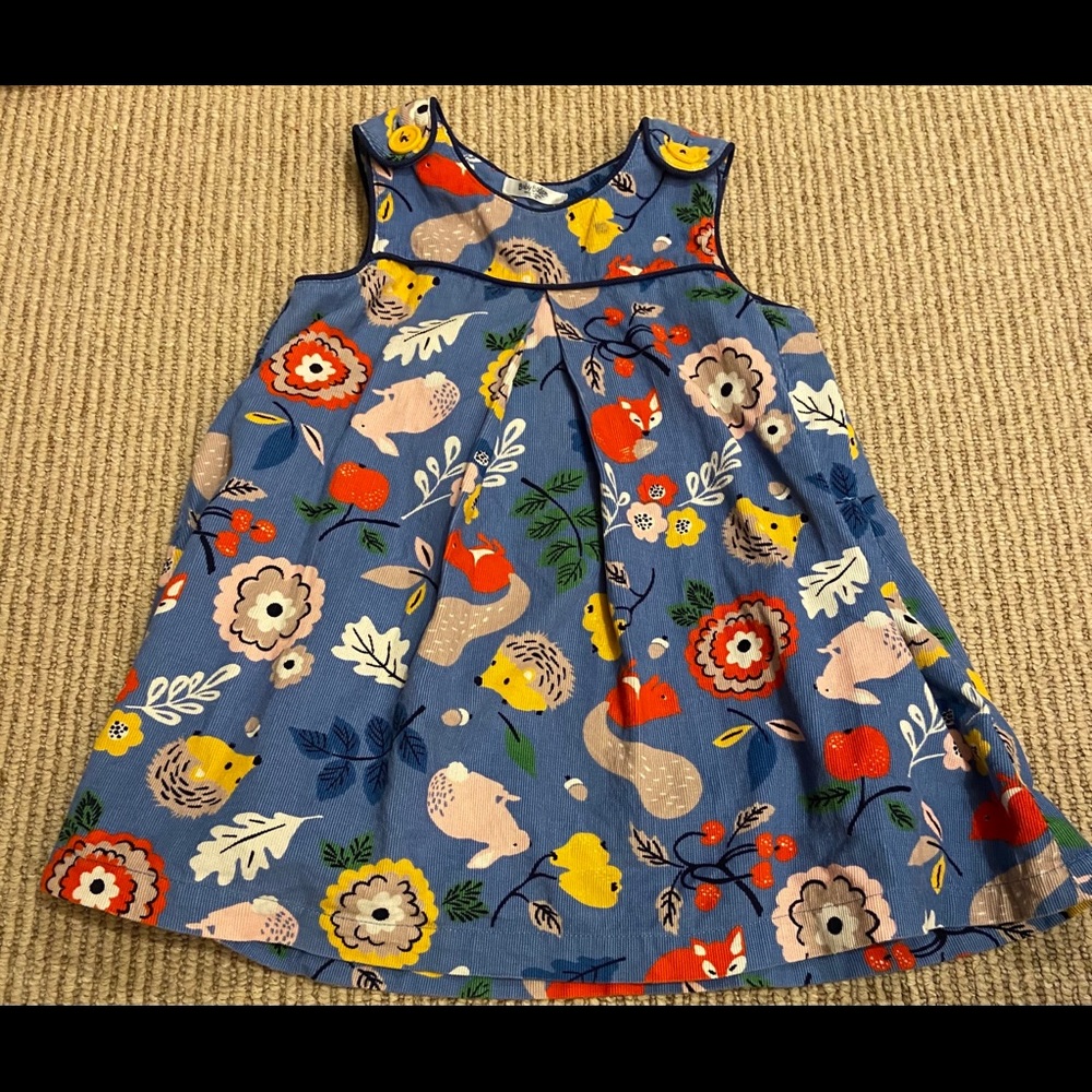 Baby Boden 2/3 woodland hedgehog pinnie